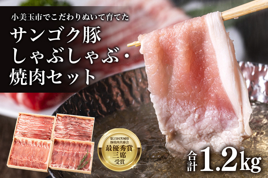 
サンゴク豚 しゃぶしゃぶ・焼き肉セット 1.2kg 豚肉 豚バラ肉 ロース 小分け 真空パック しゃぶしゃぶ肉 焼肉用 1.2キロ 1200g ブタ肉 国産 茨城県産 ギフトプレゼント 高級部位 贈り物 贈答用 内祝い 2-K
