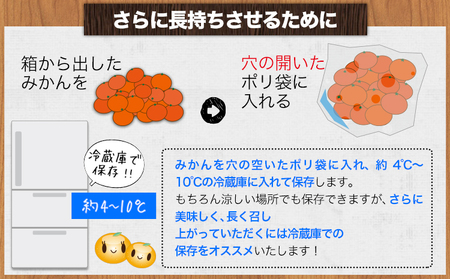 温州みかん 約3kg 日本フルーツ株式会社 熊本県 長洲町 《11月上旬～12月上頃に出荷予定（土日祝除く）》 果物 秀品 フルーツ スイーツ デザート ギフト ご贈答