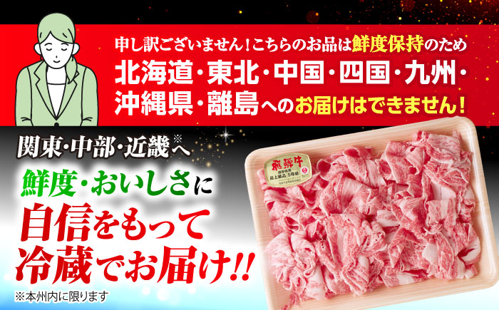 【6回定期便】 ※冷蔵配送/地域限定※ 飛騨牛 小間切 (大) 500g×2セット 瑞浪市 / きなぁた瑞浪 和牛 国産 岐阜県産 [AZCI072]