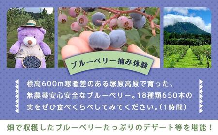 【湯布院 熊谷牧場・雛戸】施設内なんでも使える！ブルーベリー・キャンプガーデン ご利用補助券 6,000円分