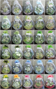 バルーンフラワー Lサイズ｜ バルーンフラワー 長野県 千曲市