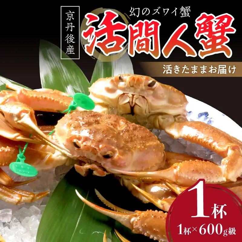 【幻のズワイ蟹】　京丹後産　活間人蟹(中）　鮮度抜群、活きたままお届け！！ 600g級×1杯 蟹