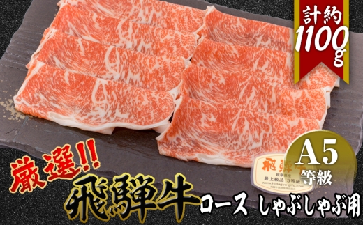 店主こだわり雌牛 飛騨牛A5等級　ロースしゃぶしゃぶ用　約1.1kg [No.084] ／ 牛肉 ブランド牛 鍋 メス牛 冷凍 岐阜県 特産