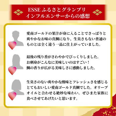 ふるさと納税 愛南町 訳あり 愛南ゴールド真鯛 合計約500g サイズ 不揃い 規格外 小分け 真空 パック 新鮮 鮮魚 |  | 01