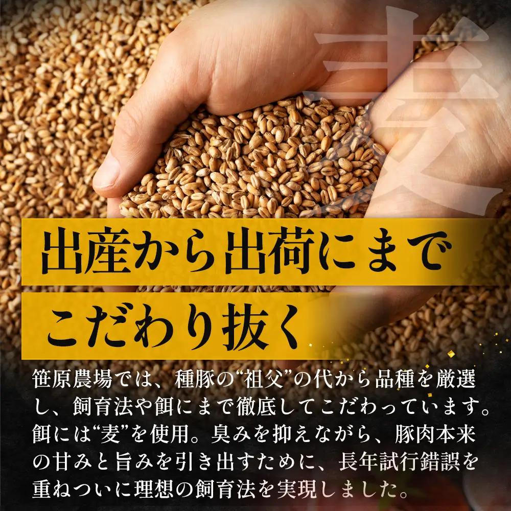 【ふるさと納税】鹿児島県産 ひかり麦豚【しゃぶしゃぶ 食べ比べ + とんかつ肉 + ハンバーグ】セット ≪合計1.1kg≫ HM-702  | 肉 お肉 にく 豚肉 ロース 肩ロース バラ肉 スライス