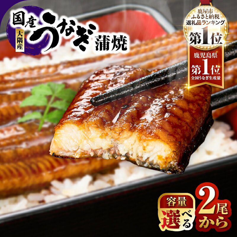 鹿児島県大隅産うなぎ蒲焼(計600g・150g×4尾)たれ・山椒付き！できたてのウナギ蒲焼きを真空パックし急速冷凍でお届け【大隅地区養まん漁業協同組合】