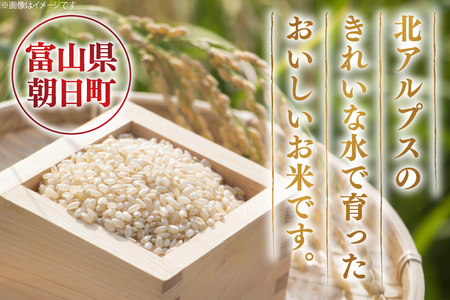 米 令和7年産 富富富 玄米 10kg