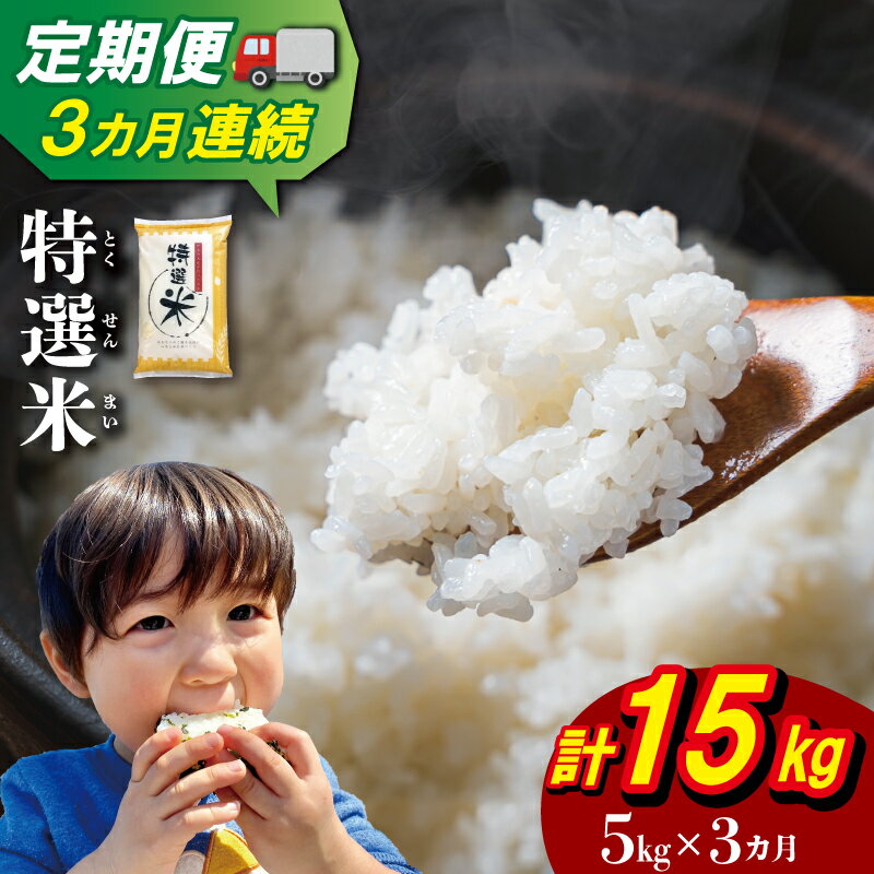 【ふるさと納税】 三重県産 特選米 コシヒカリ 5kg 定期便 ふるさと納税 ふるさと 米 コメ こめ おこめ ギフト プレゼント 贈答 贈り物 御祝い お祝い返礼品 人気 お取り寄せ 三重米 お米 新米 白米 精米 ブランド米 国産 毎月届く MK17
