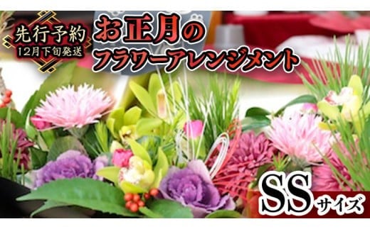 
            【 お正月 の お花 】 フラワー アレンジメント SS お正月 花 生花 縁起物 フラワーアレンジメント ギフト [CT107ci]
          