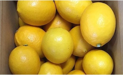 ［産地直送］和歌山県産 レモン 2kg サイズ混合 ［US43］