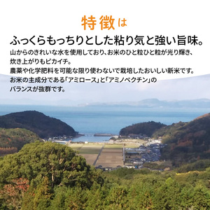 S108-003A_〈令和6年産〉熊本県天草産　天草の大地の恵み　新米コシヒカリ6㎏【先行予約】