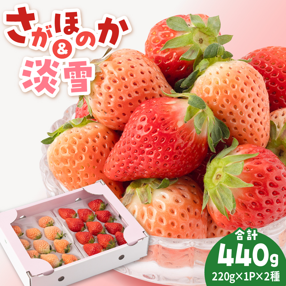 【2026年1月以降発送】【農家直送】淡雪＆さがほのか赤白いちごセット各220g【岸川農園】 [IAP007]