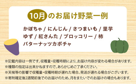 【数量限定】厳選！旬を味わう高槻野菜おまかせ詰め合わせセット 10月（10種～15種）　大阪府高槻市/高槻あぐり[AOCS016]