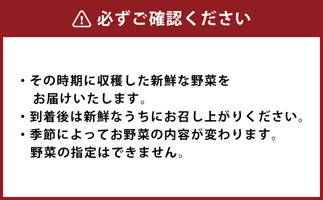 新鮮たまごと旬の野菜セット ／ 生卵 タマゴ 詰合せ セット 熊本県 特産品