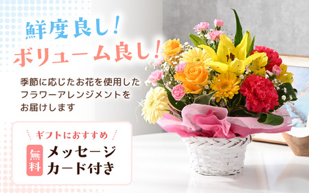 定期便 ≪12ヶ月連続お届け≫ 季節のフラワーアレンジメント M (レッド・ピンク) 花束 生花 プレゼント [L-20703_01]