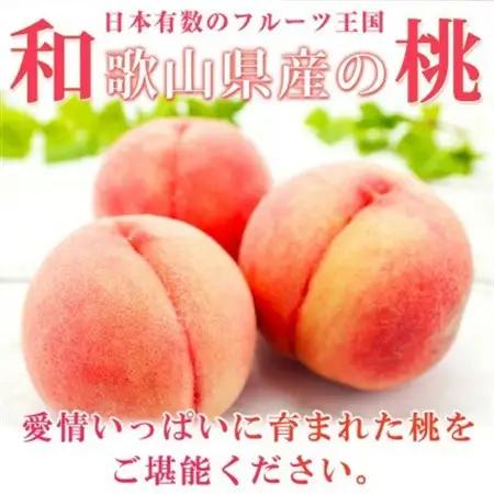 【日高町】紀州和歌山産の桃　約1.8kg　化粧箱入【配送不可地域：離島・北海道・沖縄県】【1217365】