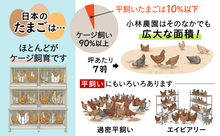 【全3回定期便】小林農園の平飼いたまご・無投薬 25個《厚真町》【テンアール株式会社】 有精卵 卵 鶏卵 玉子 生卵 平飼い 北海道 定期便 [AXAN004]