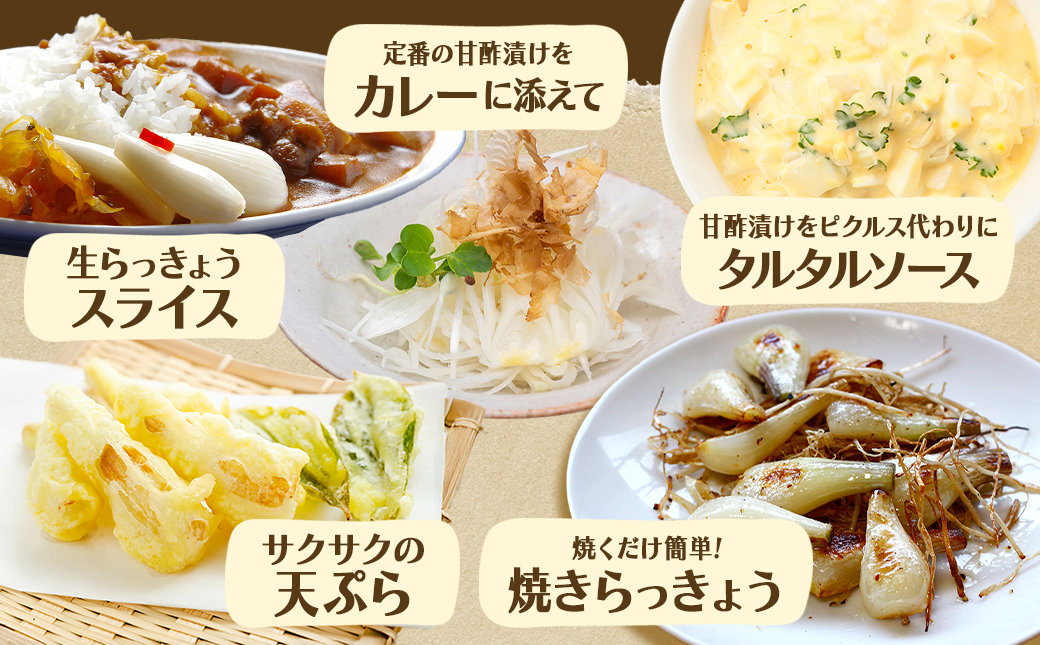 【先行受付!】掘りたて!新鮮!!根付き土付き生らっきょう5kg≪2026年5月中旬以降順次お届け≫_12-L701