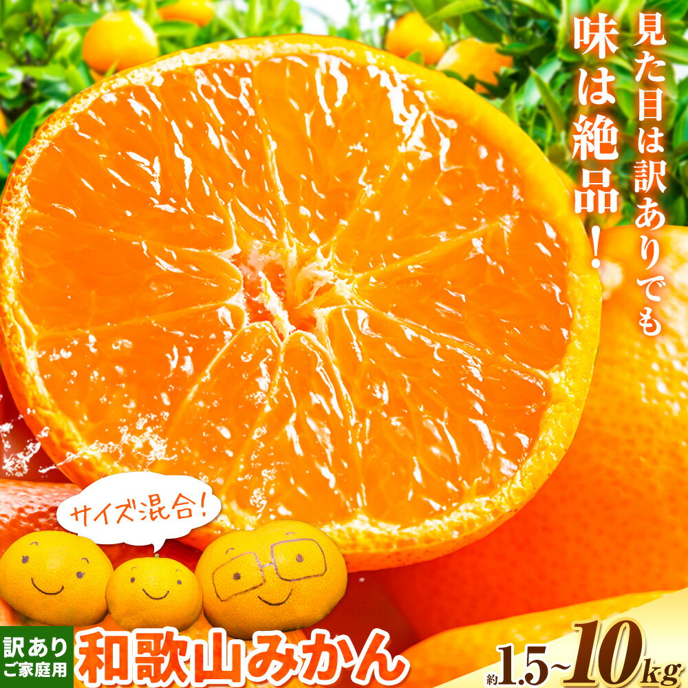 【ふるさと納税】【数量限定】和歌山県産 訳あり みかん (3S～3L) 選べる内容量 約1.5kg 約5kg 約10kg《11月上旬-12月上旬頃出荷》和歌山県 日高川町 柑橘類 柑橘 果物 フルーツ ミカン 訳ありみかん 家庭用 お試し 大容量 みかん 5kg みかん 10kg 5,000円以下
