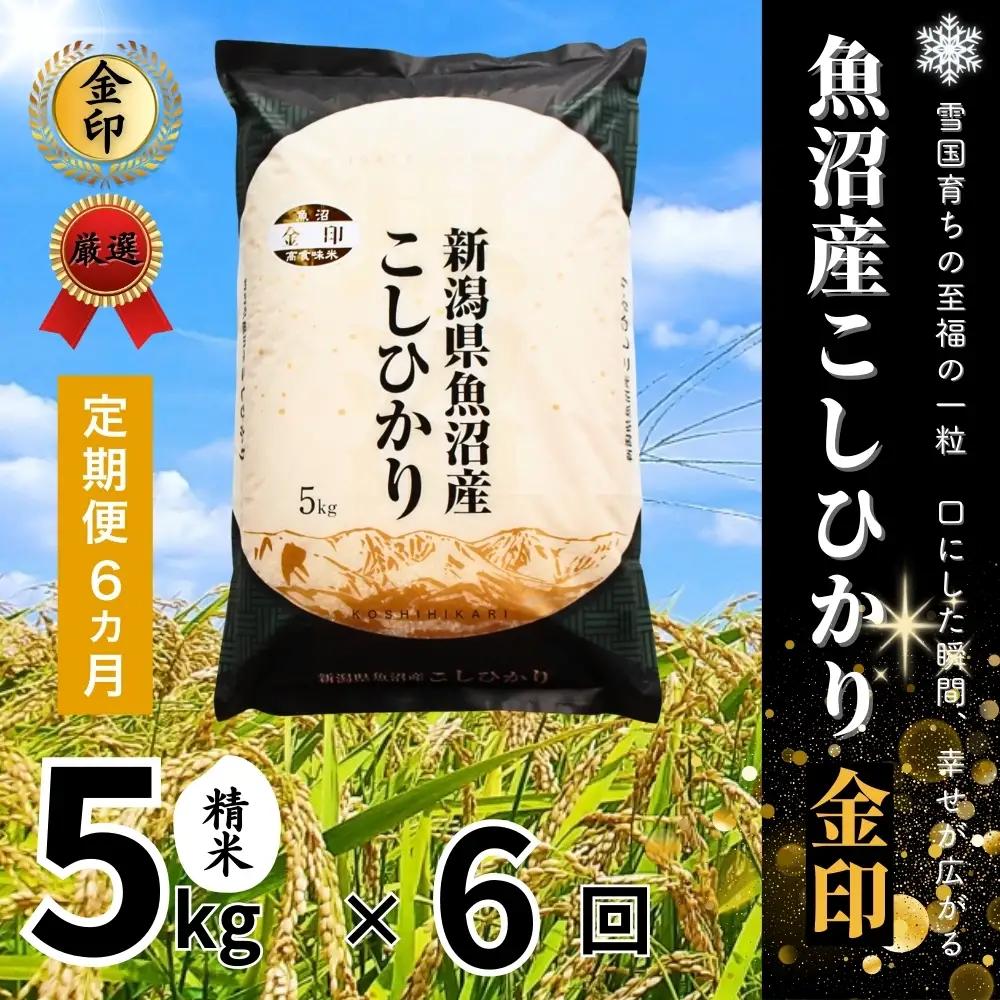 6ヶ月定期 便魚沼産コシヒカリ 金印 高食味米 5kg  有限会社イタバ |津南町 魚沼 令和7年