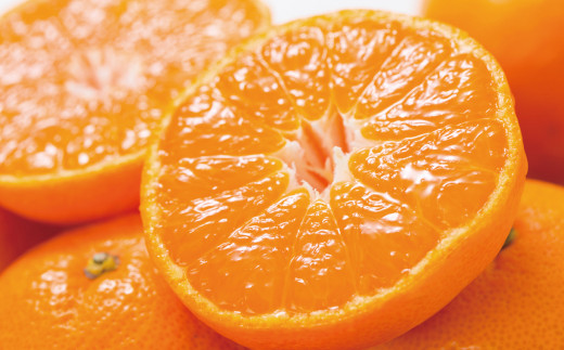 ブランド有田みかん【Ｌ】秀品10kg ／産地直送／薄皮で甘い美味しい和歌山県産／紀伊国屋文左衛門本舗　※2026年11月上旬～2027年1月中旬頃に順次発送予定（お届け日指定不可）【kstb141C】