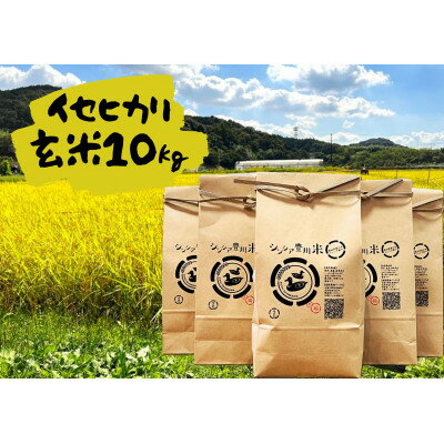 【ふるさと納税】新米【2025年11月～順次発送】栽培期間中肥料・農薬を使用せず育てた玄米(イセヒカリ)【1540744】
