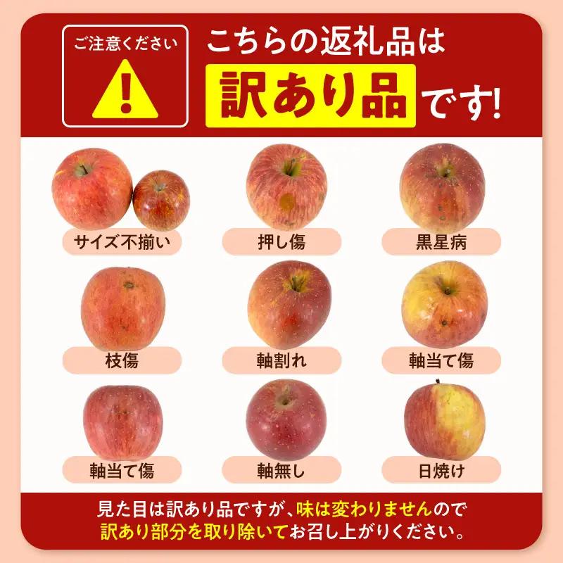 2026年産 ※訳あり※ サンふじ満杯詰 約9.5kg サンふじ