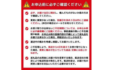 【訳あり】 文旦 10kg ぶんたん みかん 愛媛県 愛南町 山口農園