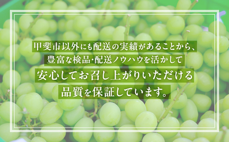 【☆先行予約☆2024年/令和6年発送分】シャインマスカット「こだわり」１Kg以上　2～3房