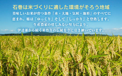 令和7年産 宮城県産 だて正夢 精米 5kg プレミアム ブランド米 石巻 JAいしのまき 伊達正夢