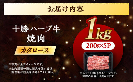 北海道 十勝 ハーブ牛 カタロース 焼肉 1kg（200g×5） 《足寄町》【株式会社ノベルズ食品】[BEAQ041]