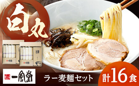 「一風堂」白丸 ラー麦麺セット 合計16食分（8食入り×2セット）  桂川町/博多漁師の里[ADCA004]