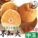 【ふるさと納税】アルギット 不知火 約1.5kg 中玉 サイズ（7～8玉）| 先行予約 不知火 デコ みかん 甘い おいしい ジューシー 完熟 期間限定 数量限定 フルーツ 果物 柑橘 人気 おすすめ 高級 こだわり ギフト 旬 お取り寄せ 送料無料 和歌山 有田川町