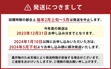 【2024年5月下旬より発送開始】【竹田市産】高原トマト 4㎏ (約16～24個) 【ベジスタとまとちゃん】