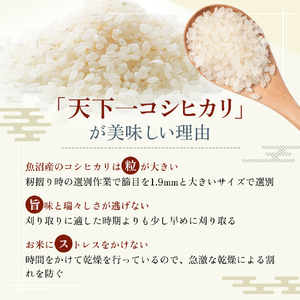定期便 魚沼産 天下一コシヒカリ 5kg 全 6回 （ 米 コシヒカリ こしひかり 定期 お米 こめ コメ おこめ 白米 魚沼 新潟 魚沼産コシヒカリ 魚沼産こしひかり お楽しみ ）