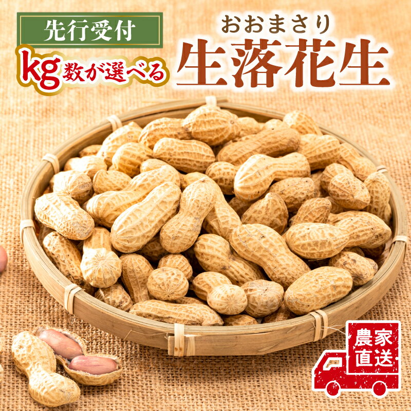 【ふるさと納税】【kg数が選べる】【先行受付 2025年9月中旬～11月中旬発送予定】おおまさり 生落花生 農家直送 千葉県 南房総市 大粒 やわらかい おつまみ おやつ ピーナッツ 塩茹で 新鮮 送料無料