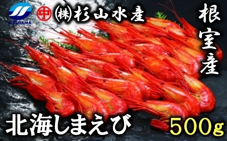 【北海道根室産】北海しまえび500g(28～34尾)×1P B-75010