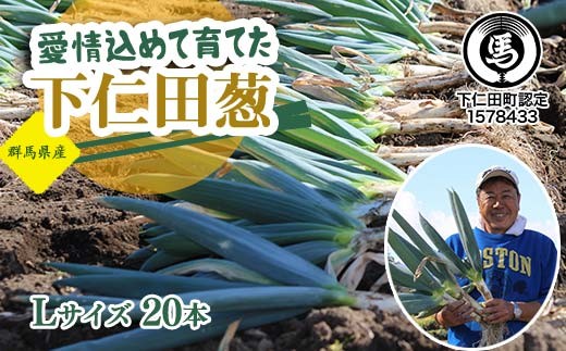 愛情込めて育てた下仁田葱（Lサイズ 20本） とろける 甘い ねぎ ネギ 王様ねぎ 殿様ねぎ 特産 栄養たっぷり ブランド 上州ねぎ すきやき F21K-672