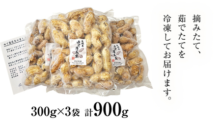 牛久市産 茹で 落花生 300g × 3袋 セット 計900g 茹で落花生 ゆで落花生 ピーナッツ ナッツ 詰合せ 豆 無塩 塩分不使用 おつまみ おやつ お菓子 素焼き マメ まめ 料理 お茶漬け 