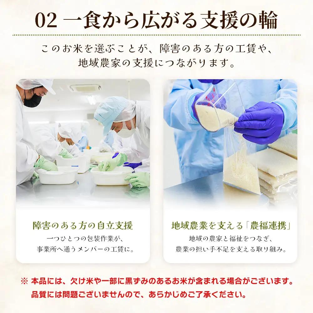 【令和８年度産】 米（コシヒカリ） 2合（300g) ×20 真空パック 小分け ke-0064