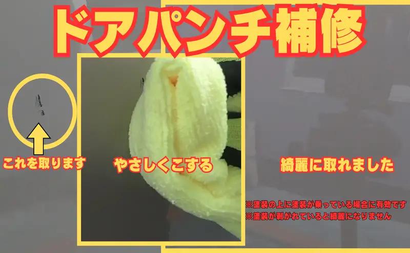 ラベンプラスチックポッリシュ200mL