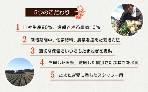 【訳あり】小さな淡路島たまねぎ 2Sサイズ 10kg　 [玉ねぎ 玉ねぎ 玉ねぎ 玉ねぎ 玉ねぎ 訳あり 訳あり 訳あり]