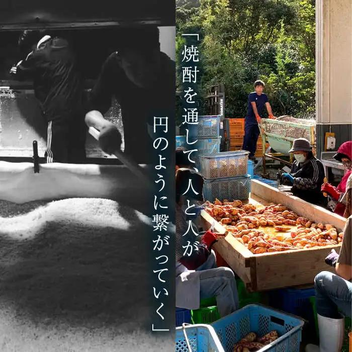 【全3回定期便】越鳥南枝2本セット 各720ml×1本[RAW027] 焼酎 芋焼酎 定期便 焼酎 芋焼酎 定期便 焼酎 芋焼酎 定期便 焼酎 芋焼酎 定期便 焼酎 芋焼酎 定期便九州 長崎