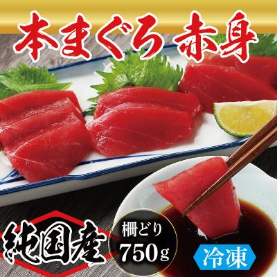 ふるさと納税 越前市 本まぐろ 赤身 750g(柵どり)