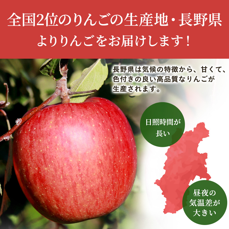 信州小諸　松井農園のサンふじ・シナノゴールド詰合せ　約3.5kg 果物類・林檎・りんご・リンゴ