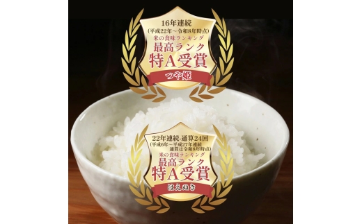 【6回定期便・11月後半発送】令和7年度 山形県産 つや姫 ・はえぬき 食べ比べ 10kg 無洗米 白米 ご飯 ごはん 国産 ブランド米 つやひめ 節水 節水 時短 冷めてもおいしい お取り寄せ 食品