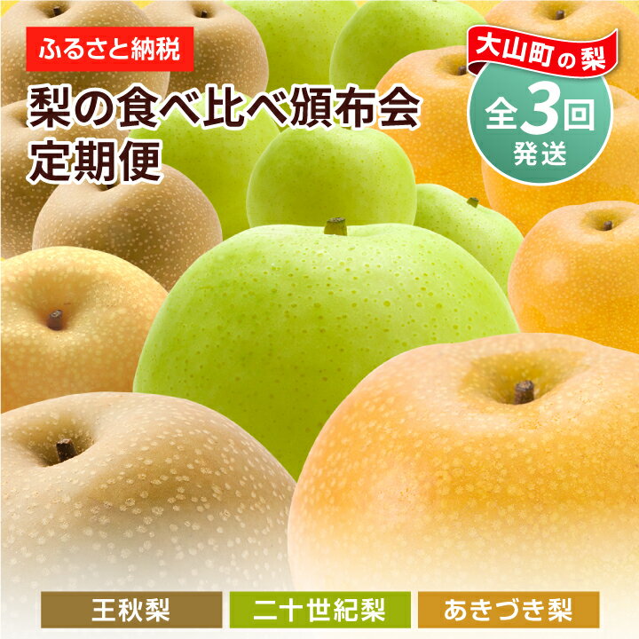 【ふるさと納税】梨の食べ比べ頒布会 5kg×3箱 二十世紀梨 あきづき梨 王秋梨 セット 定期便 数量限定 梨 5kg 鳥取県 鳥取県産 大山町 大山 梨 果物 フルーツ ナシ 甘い 果汁 和梨 くだもの 国産 食べ比べ 【8月・9月・11月の3回お届け】 DS-11