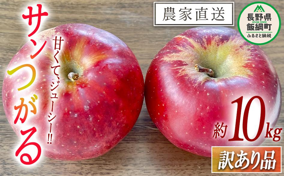 りんご サンつがる 訳あり 10kg 令和8年度収穫分 沖縄県への配送不可 2026年9月上旬頃から2026年9月中旬頃まで順次発送予定 宮本ファーム エコファーマー 減農薬栽培 津軽 つがる 傷 変形 サビ あり 長野県 飯綱町 [1530]