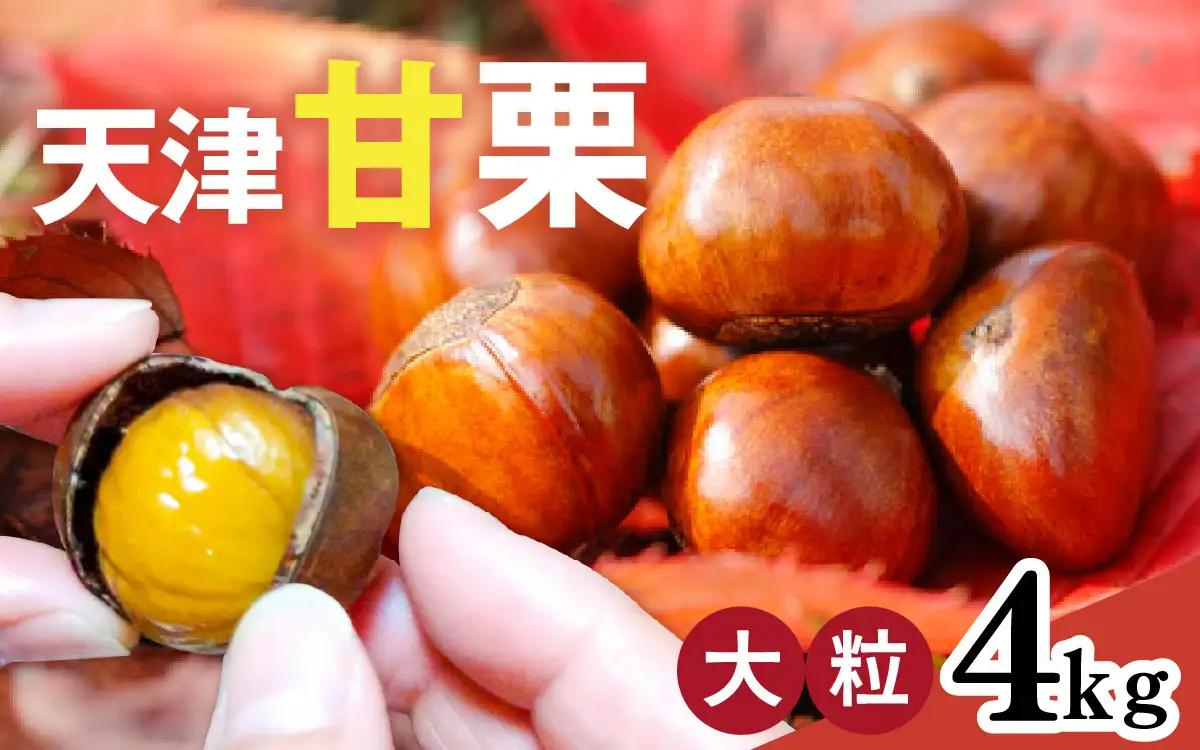 【先行予約】天津甘栗 4kg / 甘栗