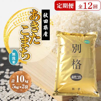 ふるさと納税 大潟村 【毎月定期便】あきたこまち 無洗米 10kg(5kg×2袋)全12回
